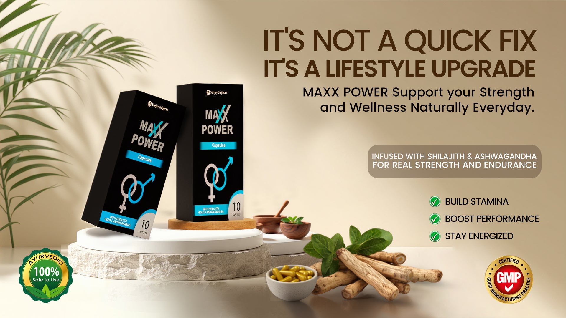 MAXX POWER – Ayurvedic Male Vitality Capsules